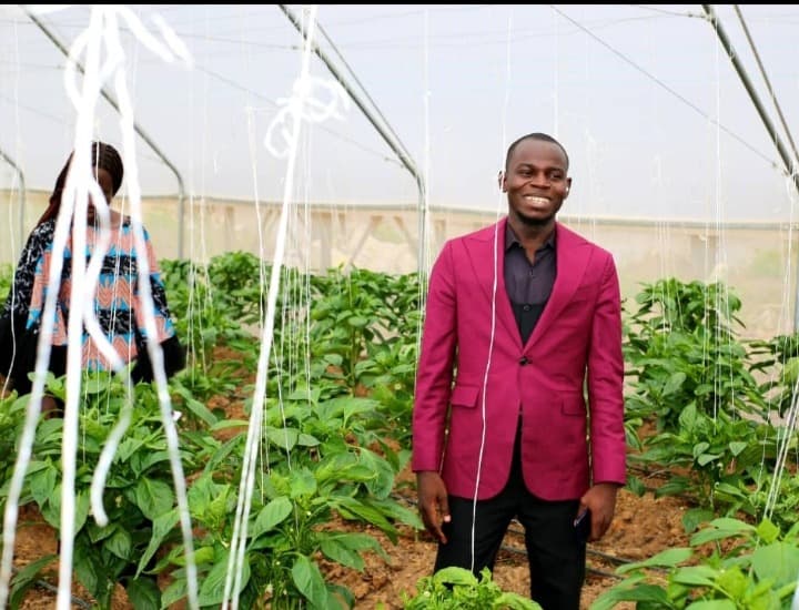 Greenhouse management inspection