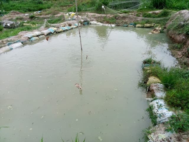Fish pond construction and aquaculture training