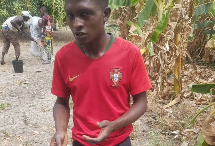 Mulching training and demonstration with community participants