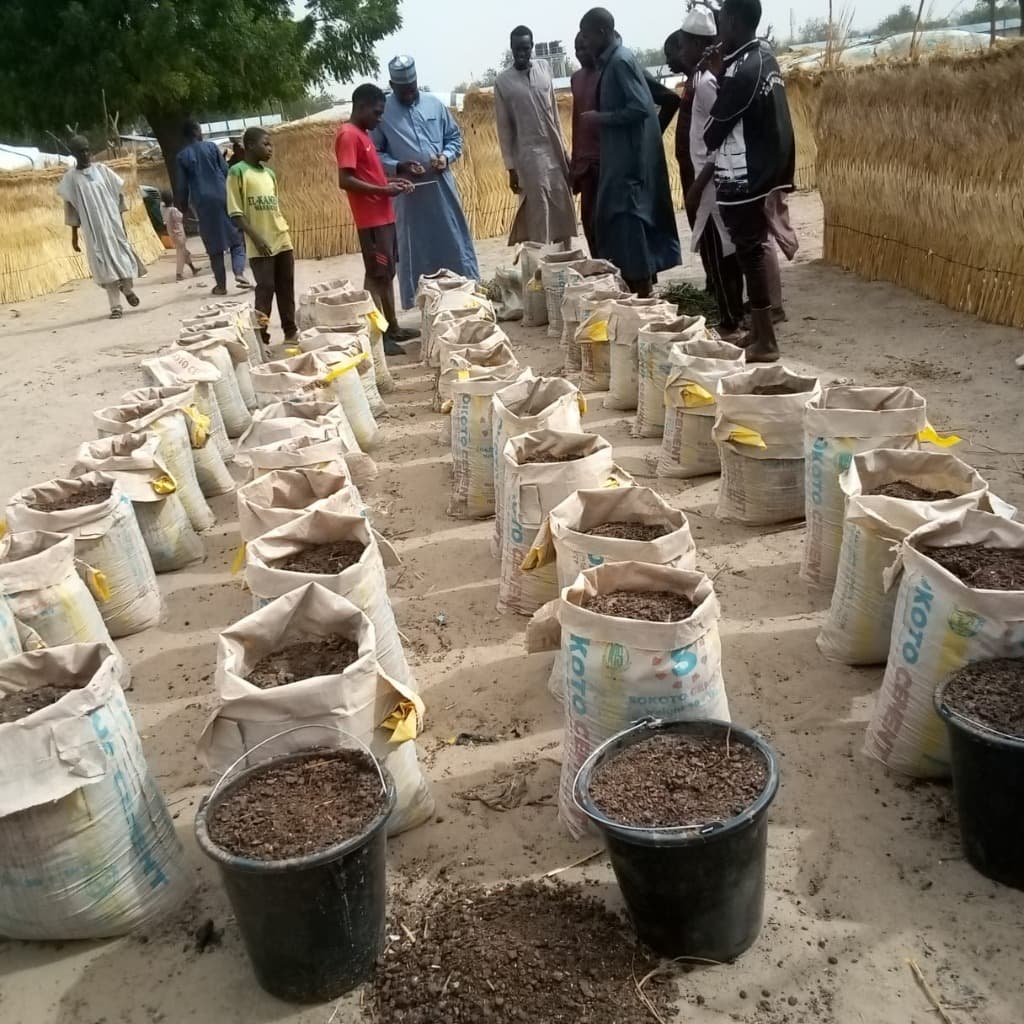 Seedling distribution program for agricultural development